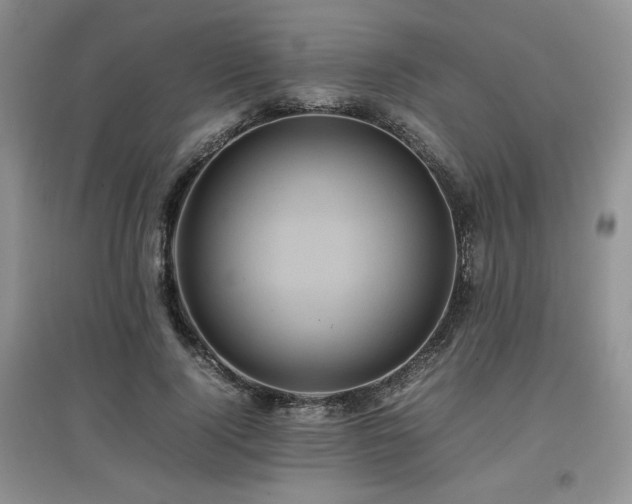 X0000097840740200803141207