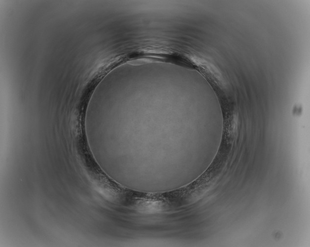 X0000097840743200803141207