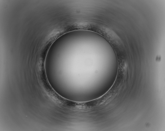 X0000097840744200803141207
