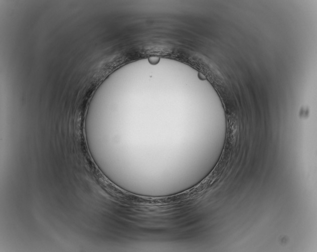 X0000097840745200803141207
