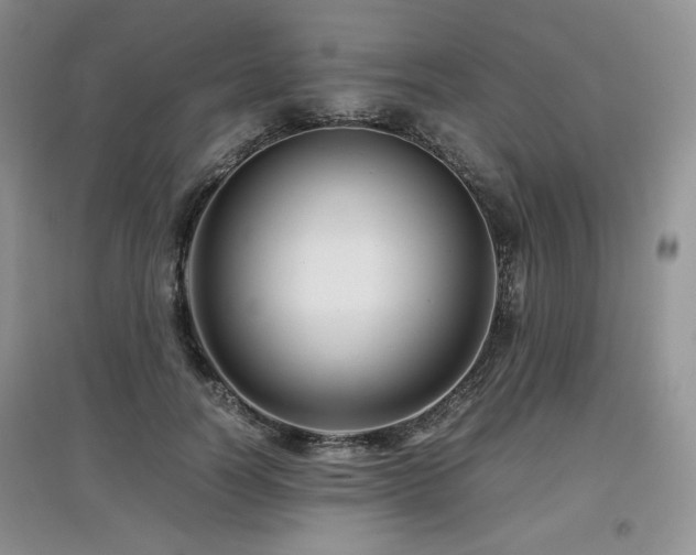 X0000097840746200803141207