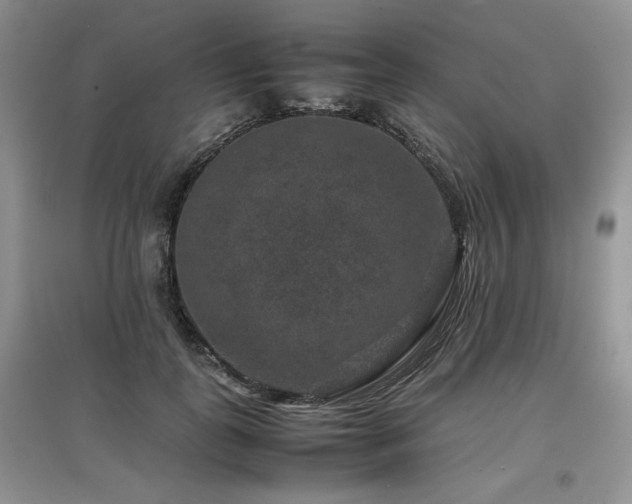 X0000097840747200803141207