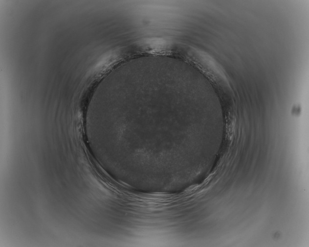 X0000097840748200803141207