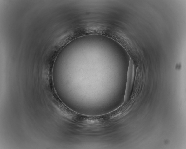 X0000097840749200803141207
