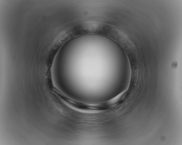 X0000097840750200803141207