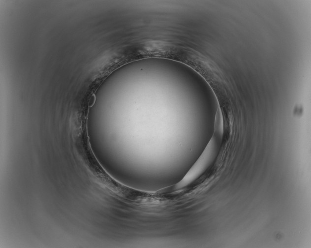 X0000097840751200803141207