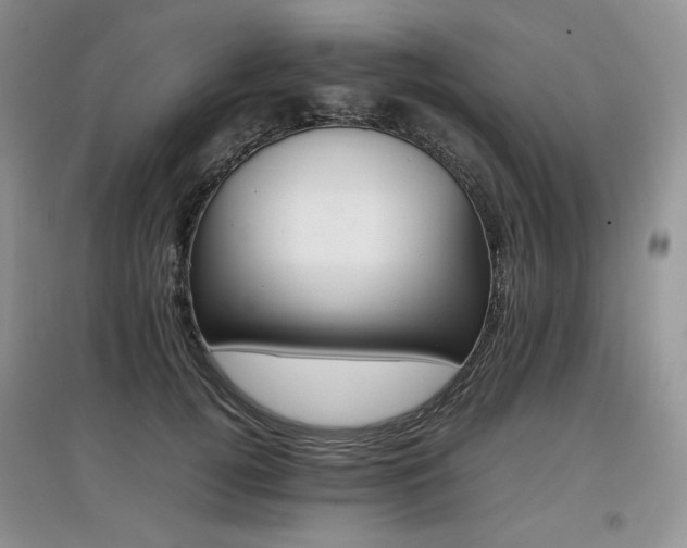 X0000097840752200803141207