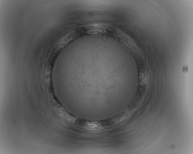 X0000097840753200803141208