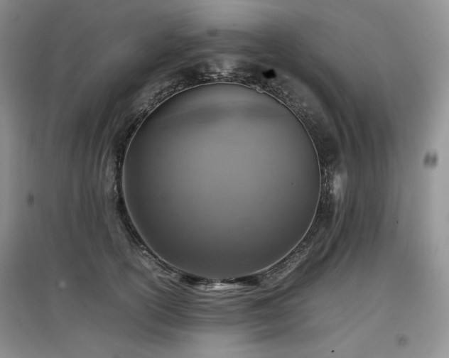 X0000097840754200803141208