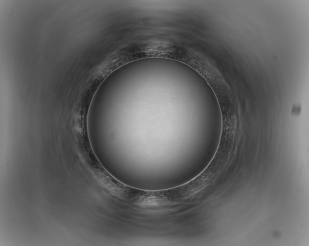 X0000097840755200803141208