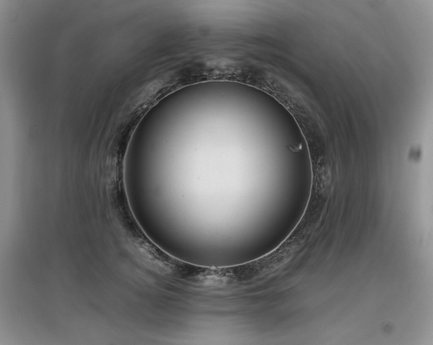 X0000097840756200803141208