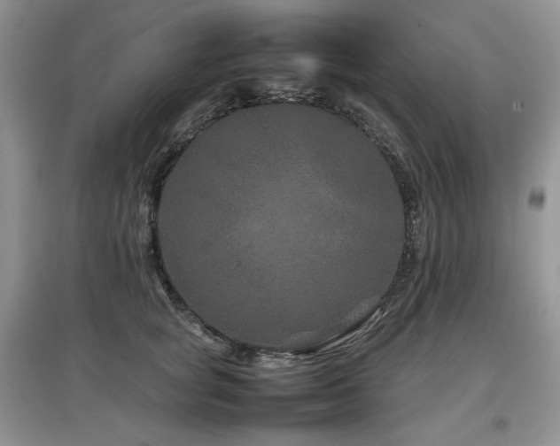 X0000097840757200803141208