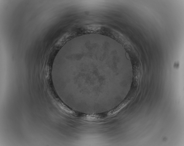 X0000097840758200803141208