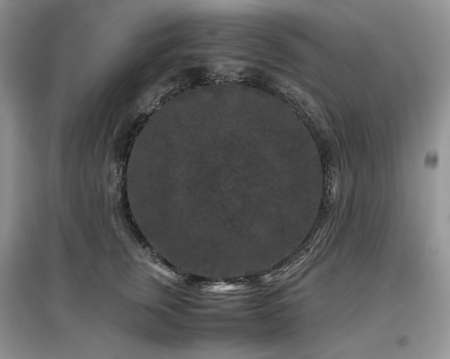 X0000097840759200803141208