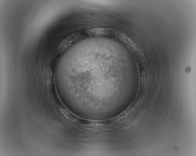 X0000097840760200803141208
