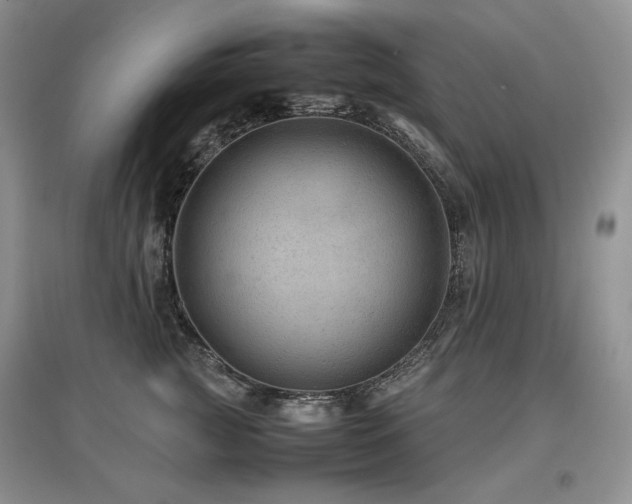 X0000097840761200803141208