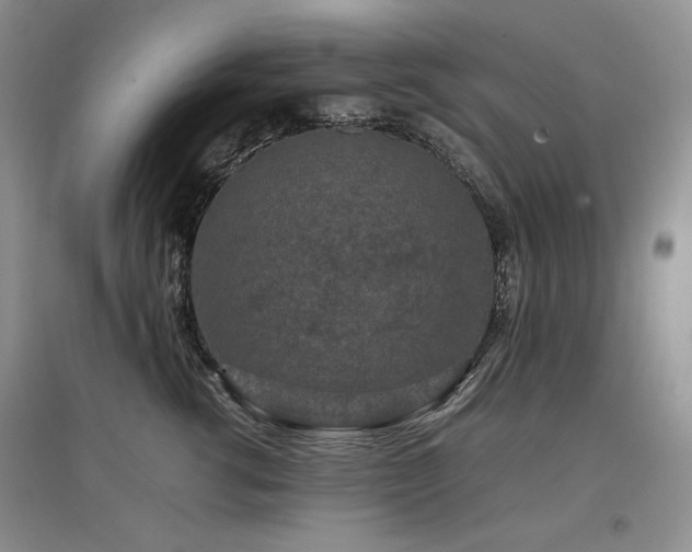 X0000097840762200803141208