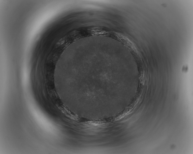 X0000097840763200803141208