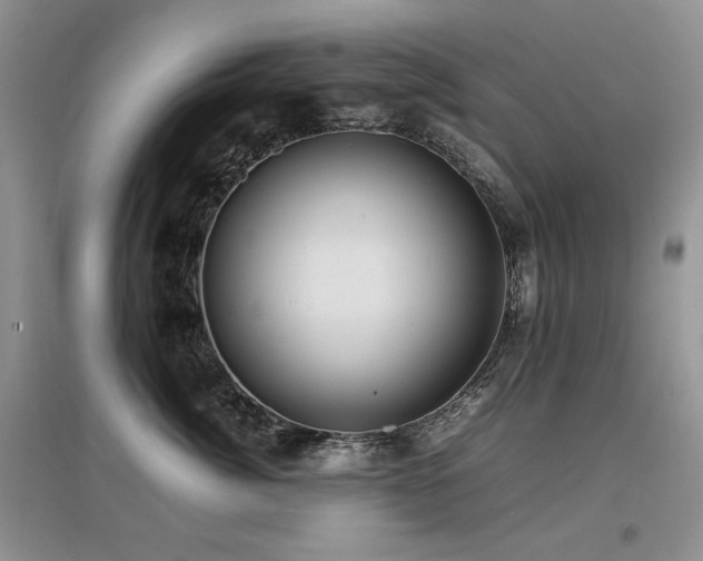 X0000097840764200803141208