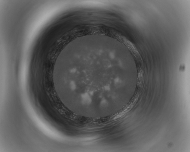 X0000097840765200803141208