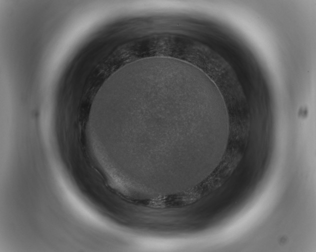 X0000097840766200803141208