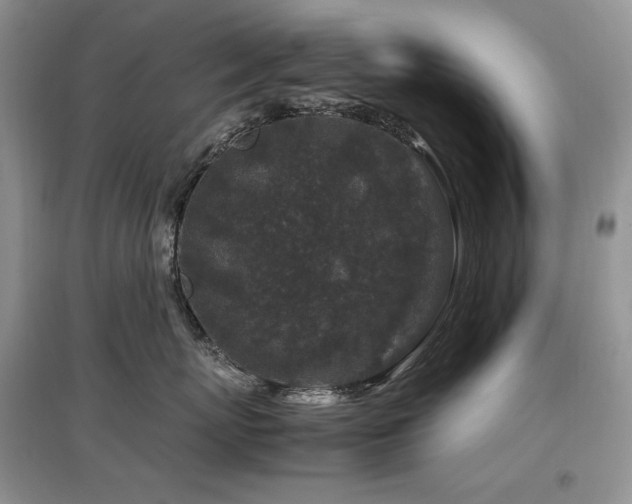 X0000097840767200803141208