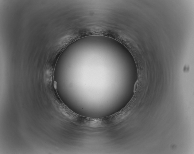 X0000097840768200803141208