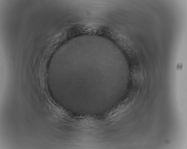 X0000097840769200803141207