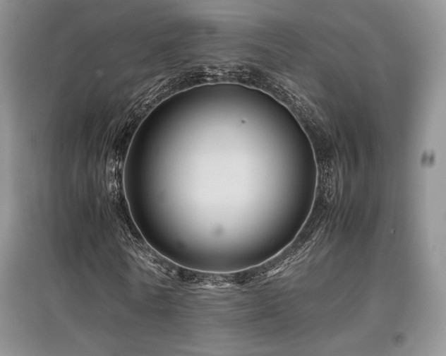 X0000097840770200803141207
