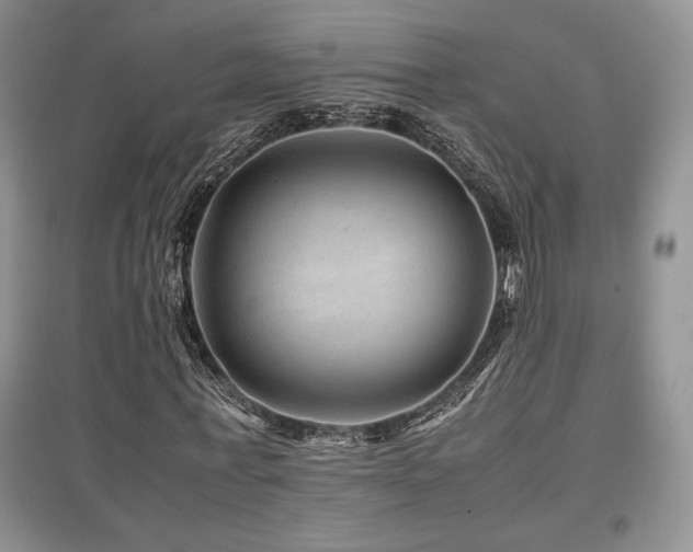 X0000097840771200803141207