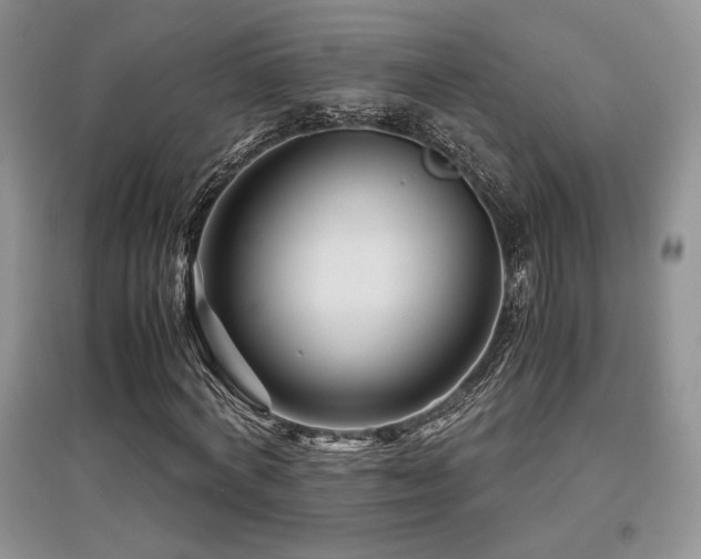 X0000097840772200803141207