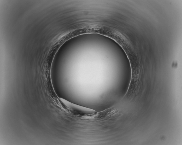 X0000097840773200803141207