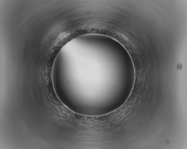 X0000097840774200803141207