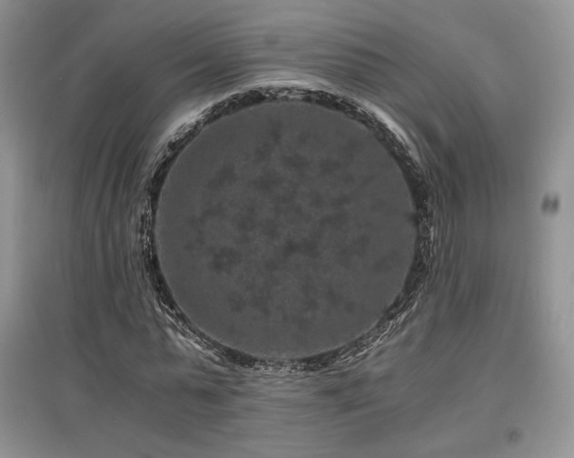 X0000097840775200803141207