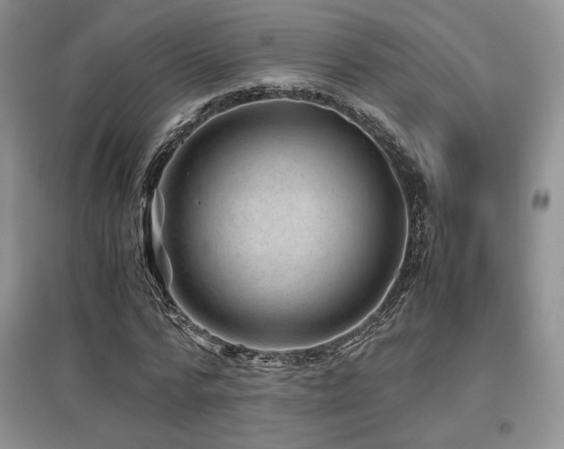 X0000097840776200803141207