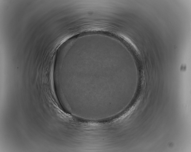 X0000097840777200803141207