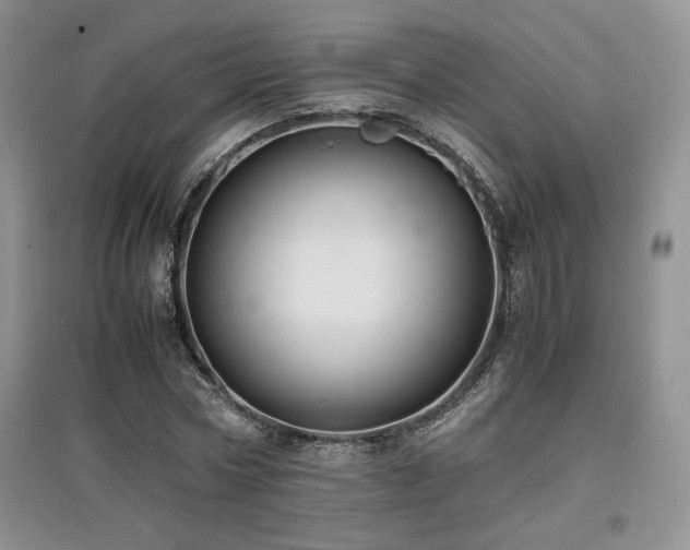 X0000097840778200803141207