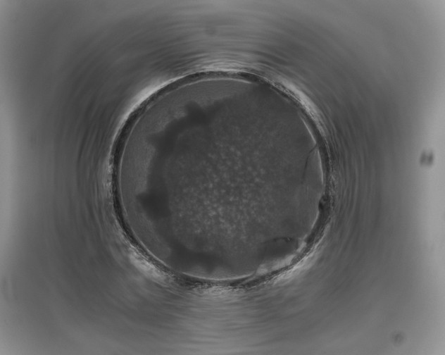X0000097840779200803141207