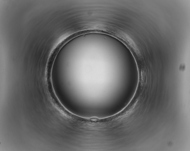 X0000097840780200803141207