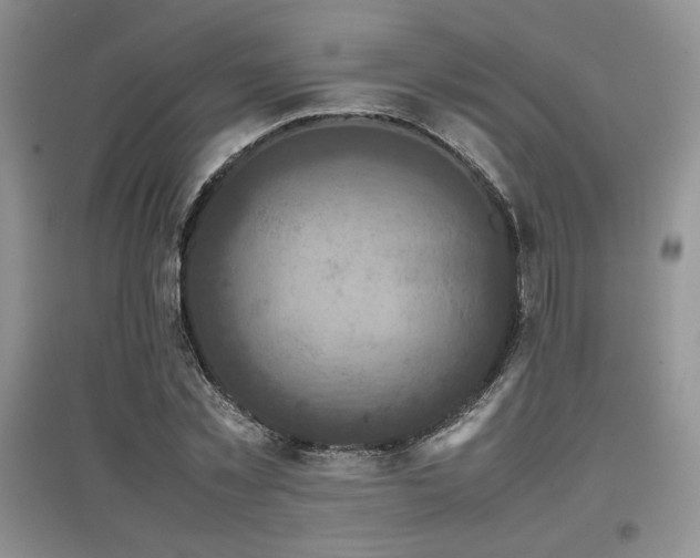X0000097840781200803141207