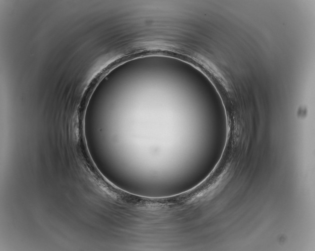 X0000097840782200803141207