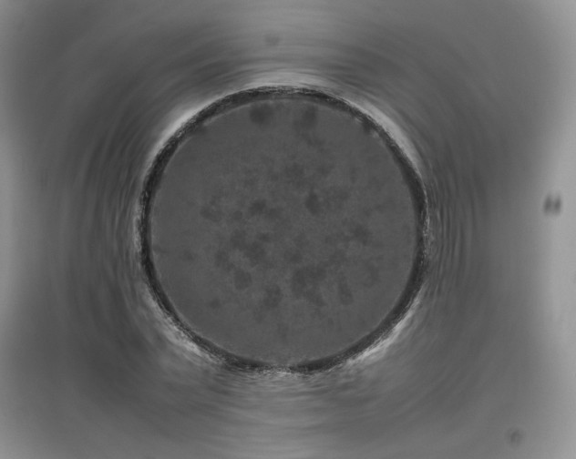 X0000097840783200803141207