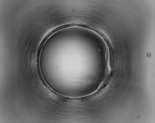 X0000097840784200803141207