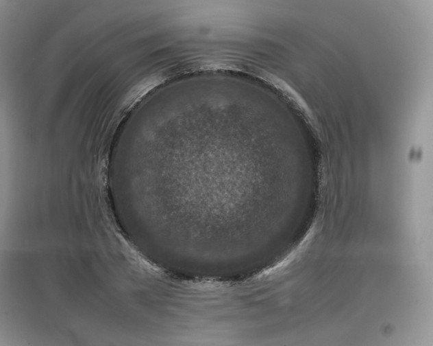 X0000097840785200803141207