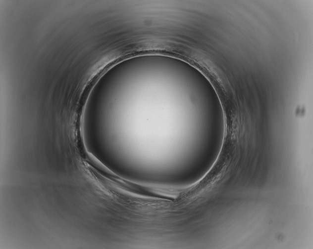 X0000097840786200803141207