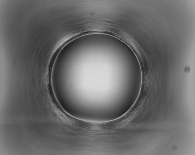 X0000097840787200803141207