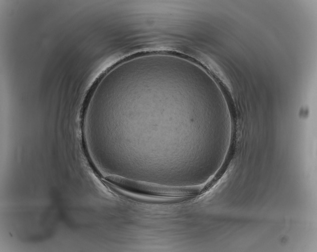 X0000097840789200803141207