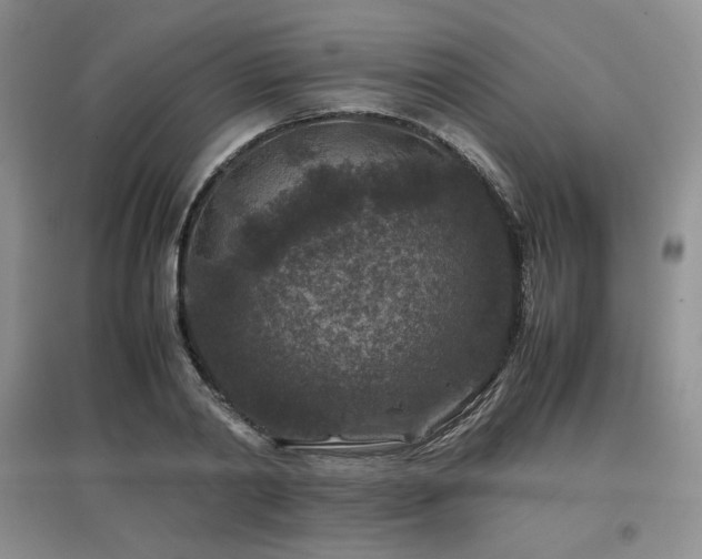 X0000097840790200803141207