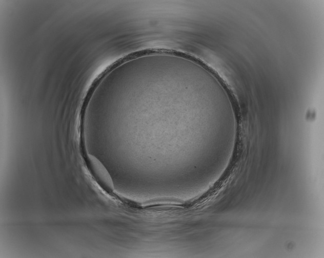 X0000097840791200803141207