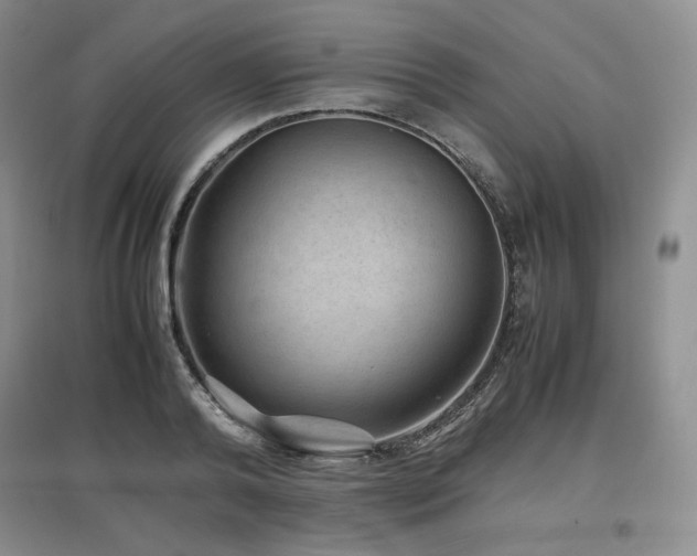 X0000097840792200803141207